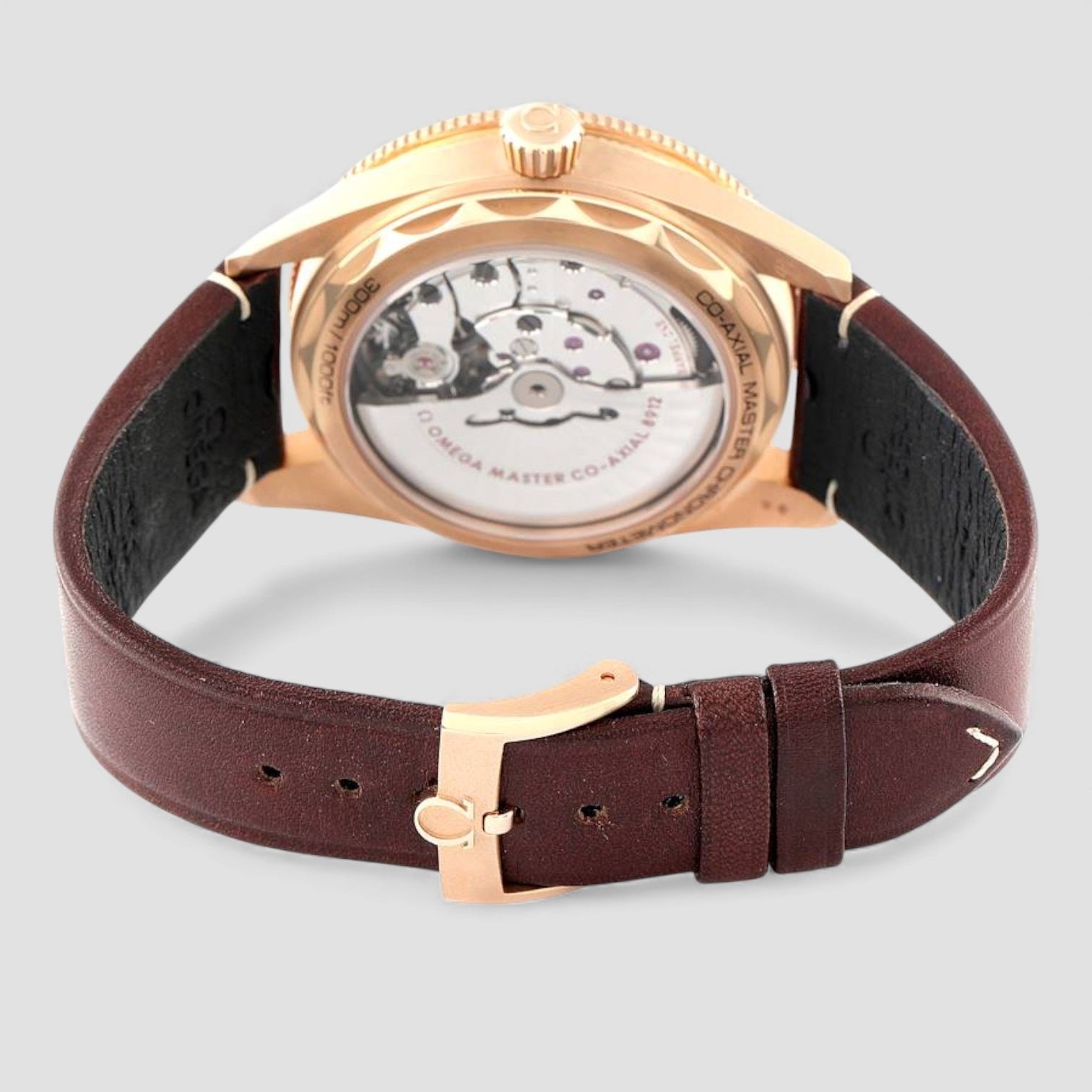 Seamaster 300M Bronze Gold 2022