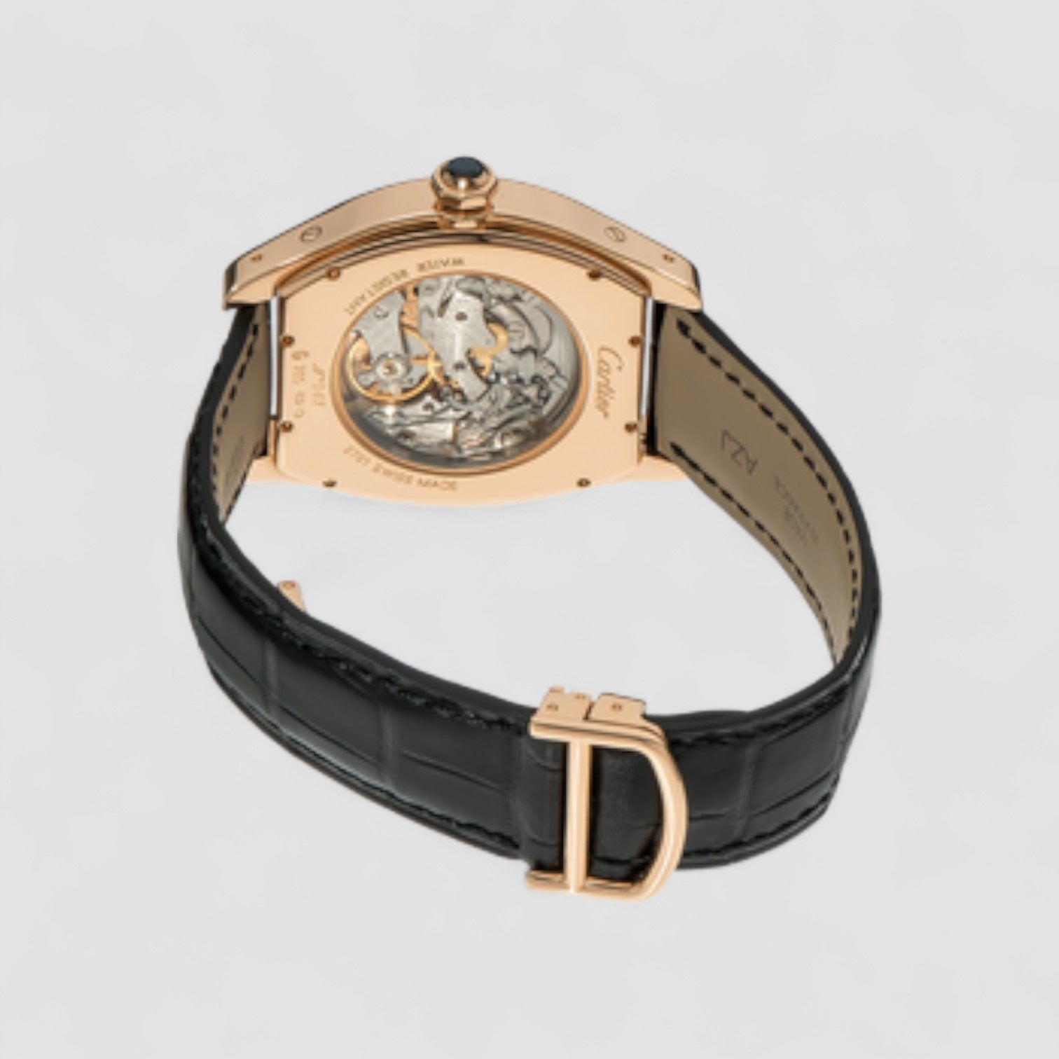 Tortue XL