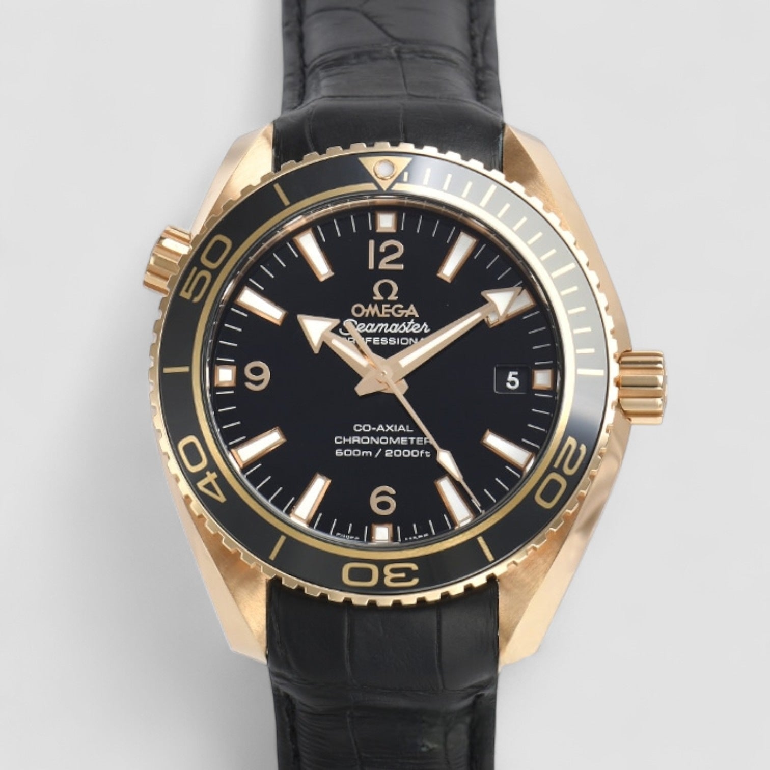 Seamaster Planet Ocean
