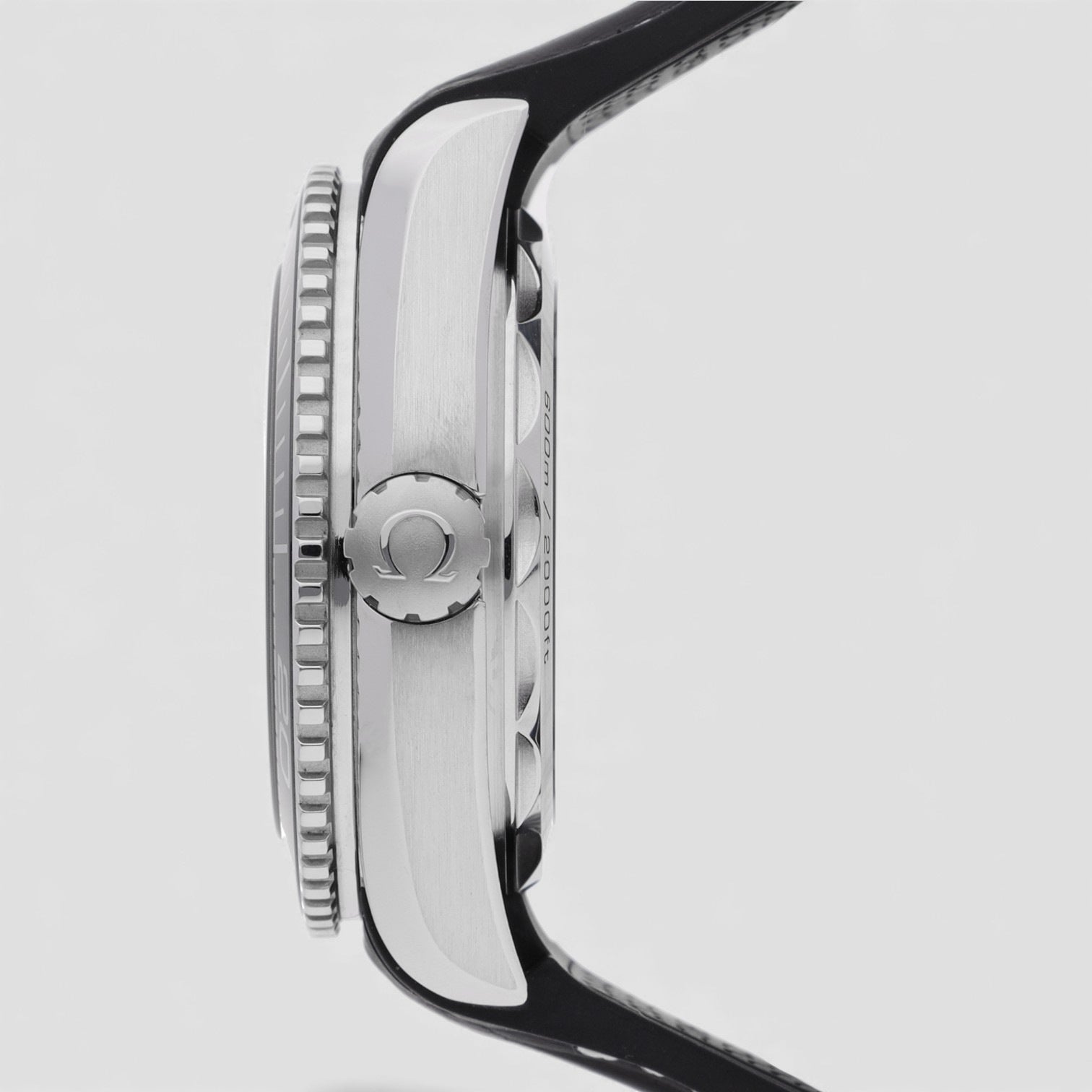 Seamaster Planet Ocean