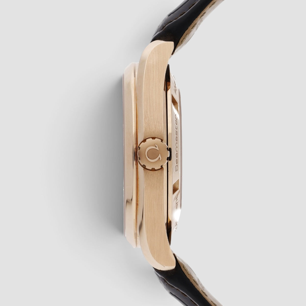 Seamaster Aqua Terra 42mm