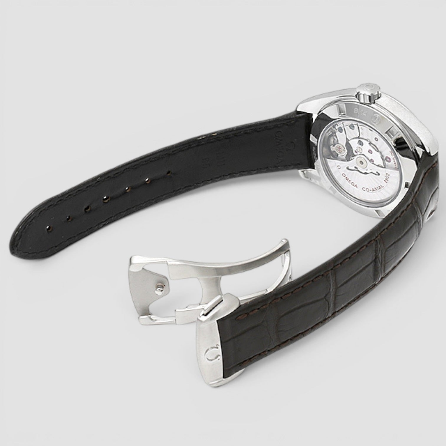 Seamaster Aqua Terra Day-Date 41.5mm Steel Silver Dial
