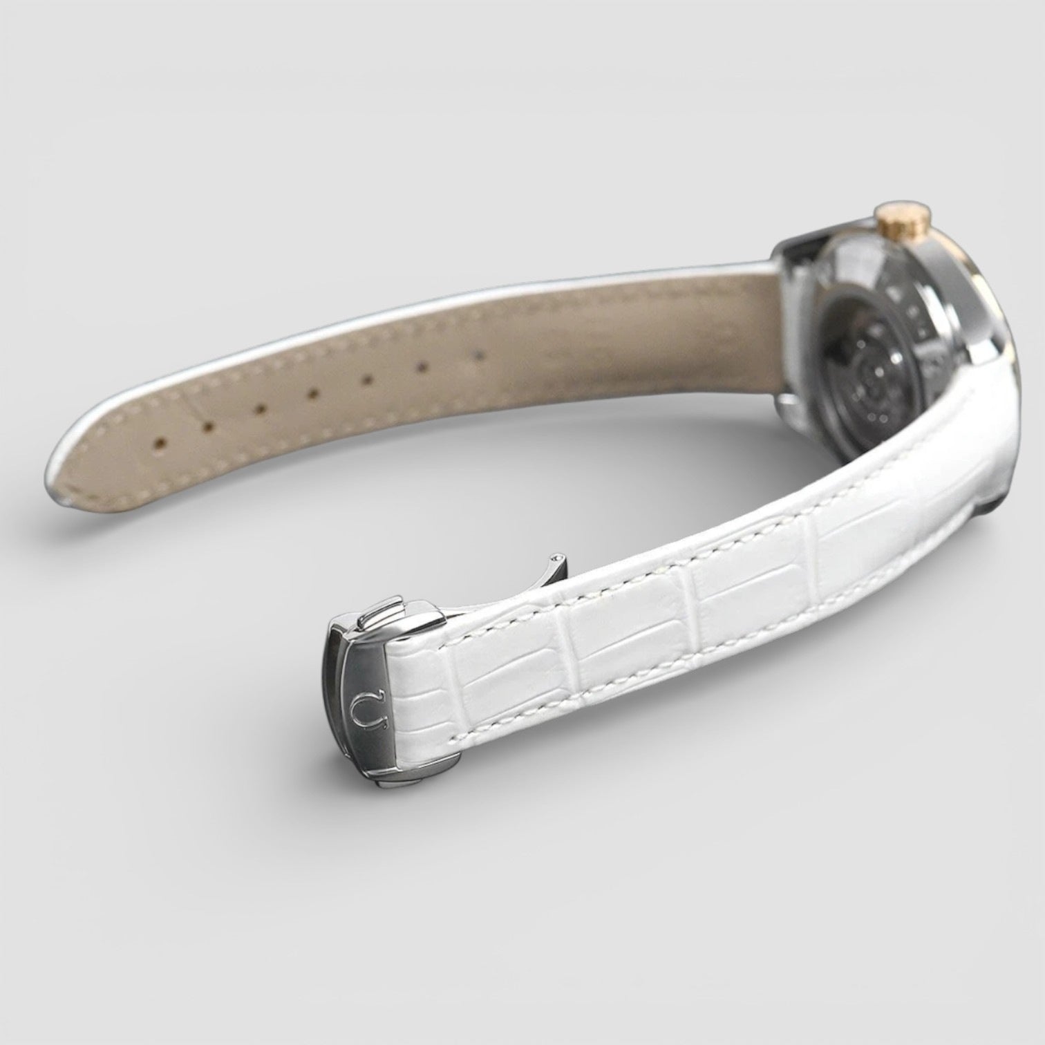 Seamaster Aqua Terra