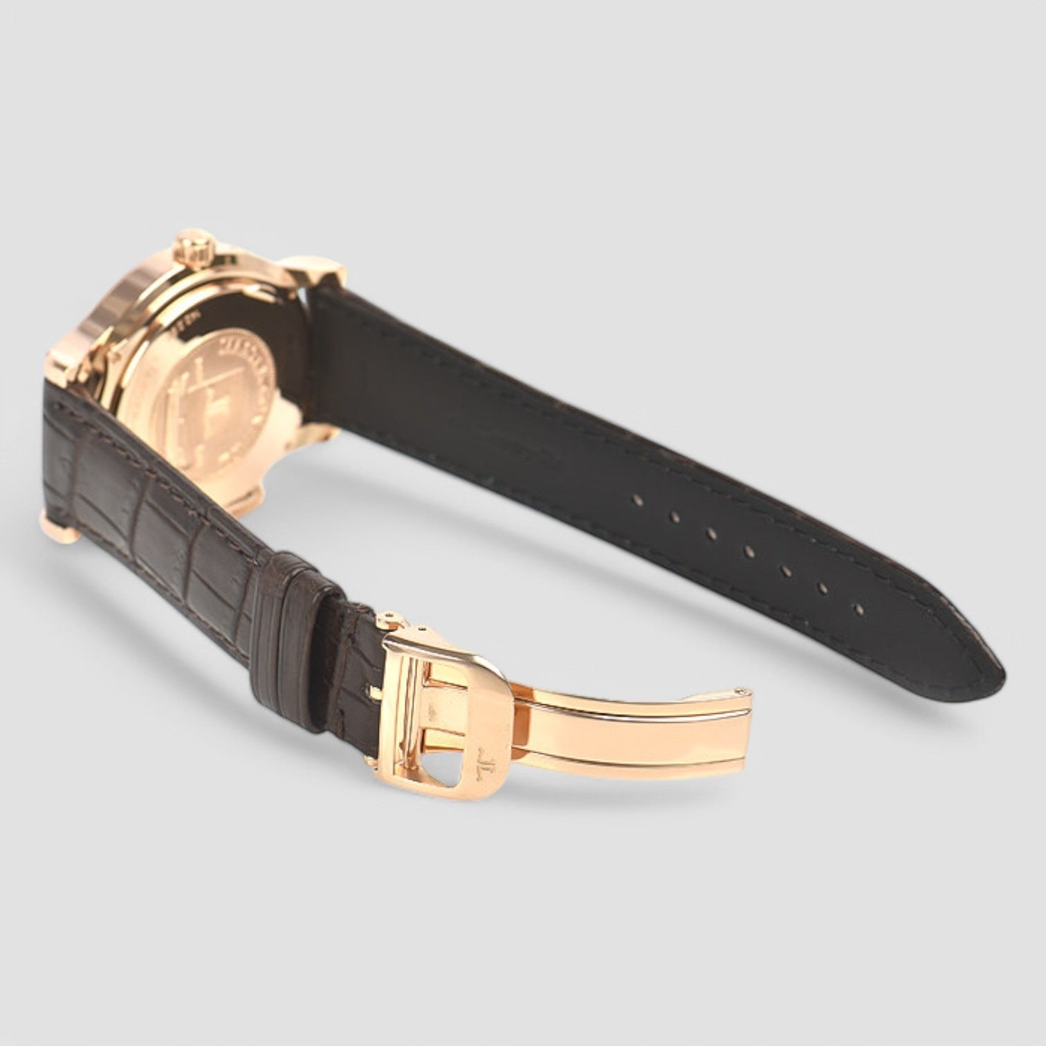 Master Control Geographic Rose Gold Automatic