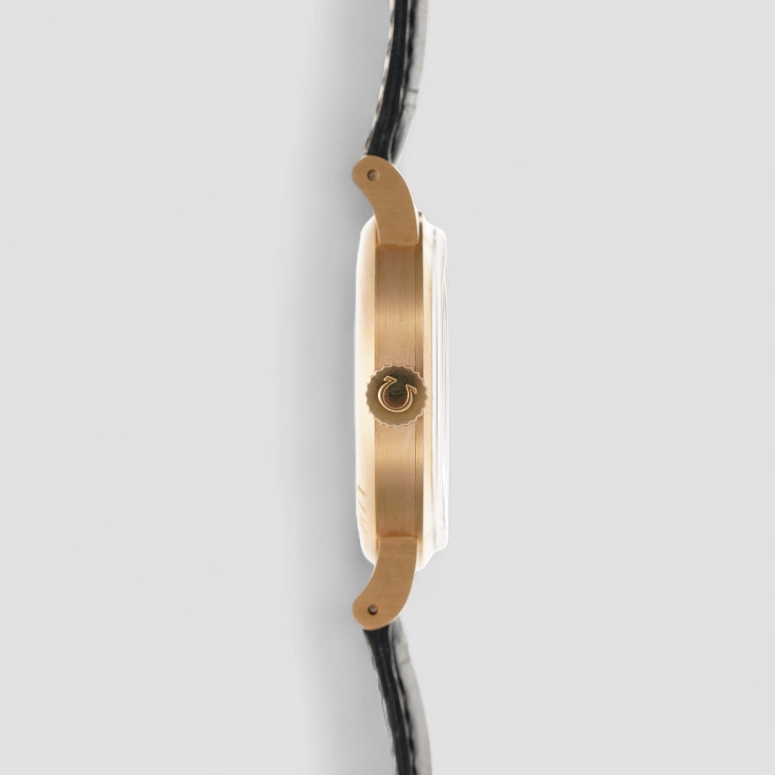 Museum Specialties Centenary 1894