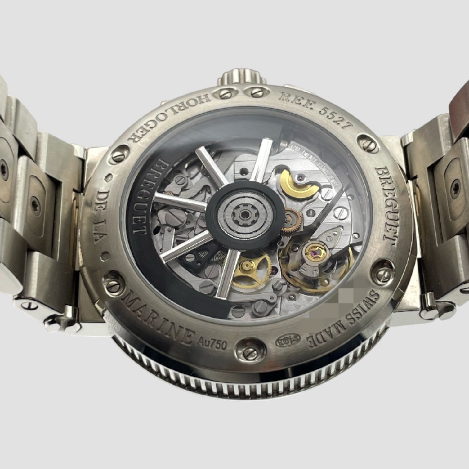 Marine Chronograph 42.3mm Mens Watch