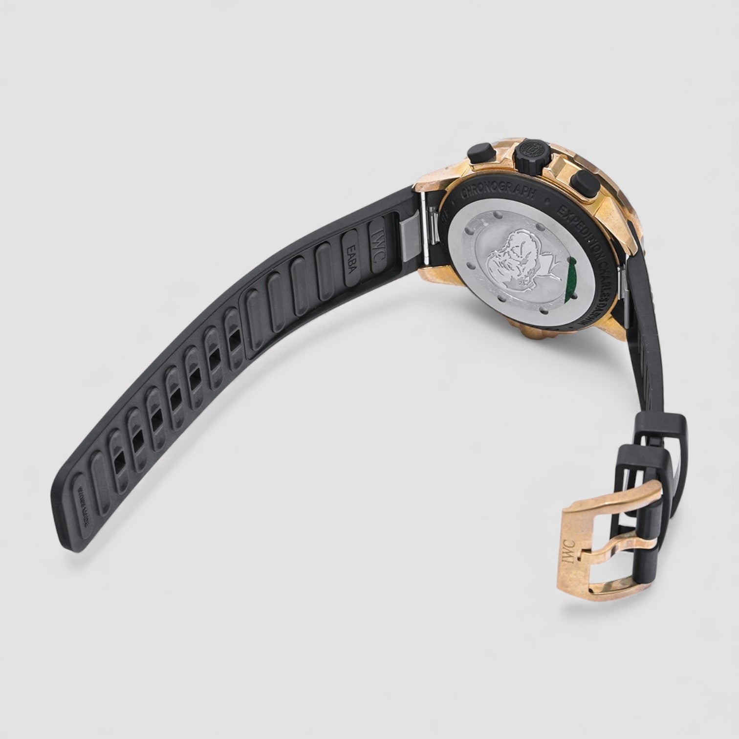 Aquatimer Chronograph Charles Darwin