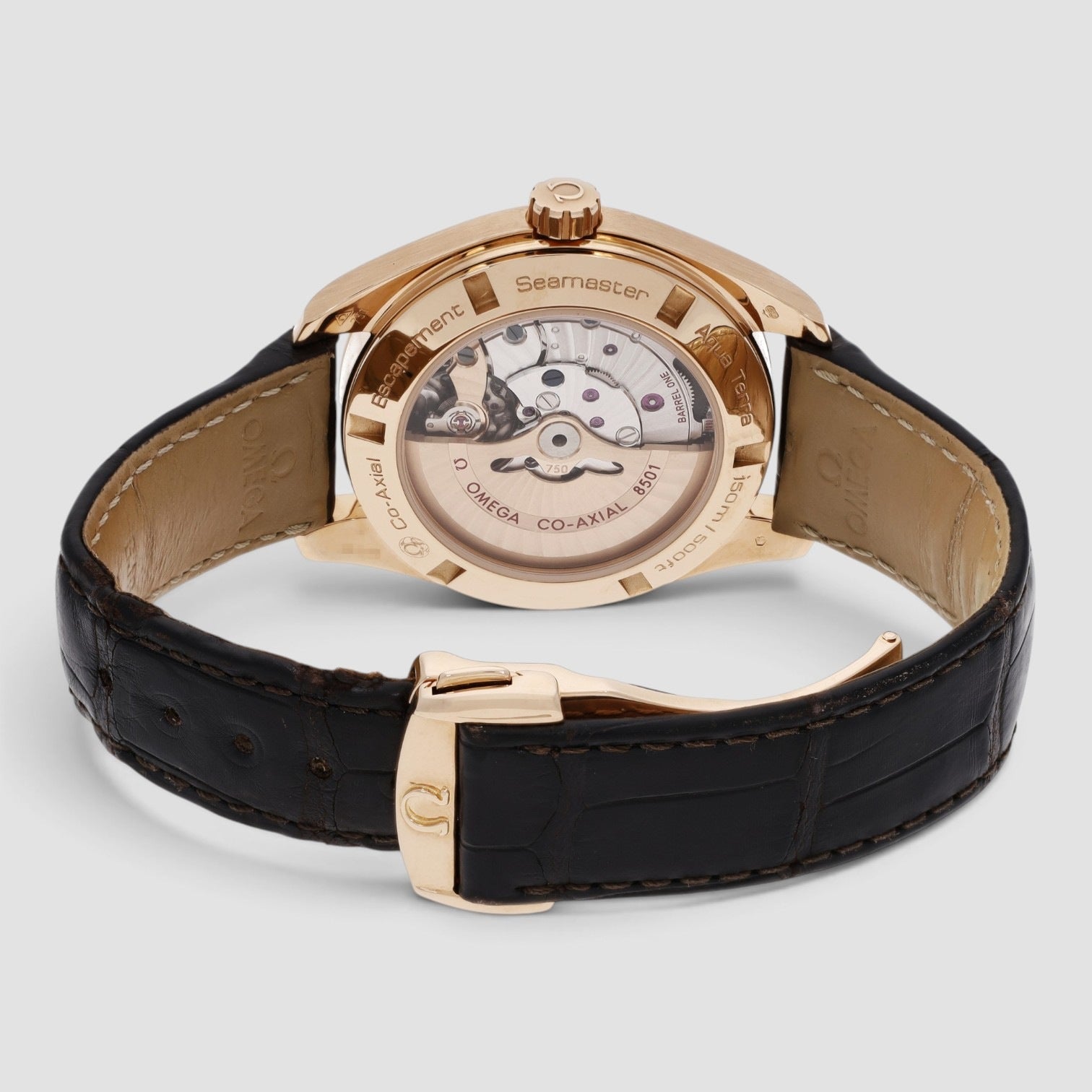 Seamaster Aqua Terra 42mm