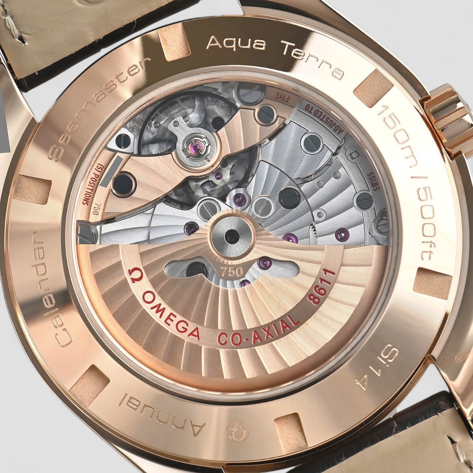 Aqua Terra Annual Calendar 43mm Mens Watch