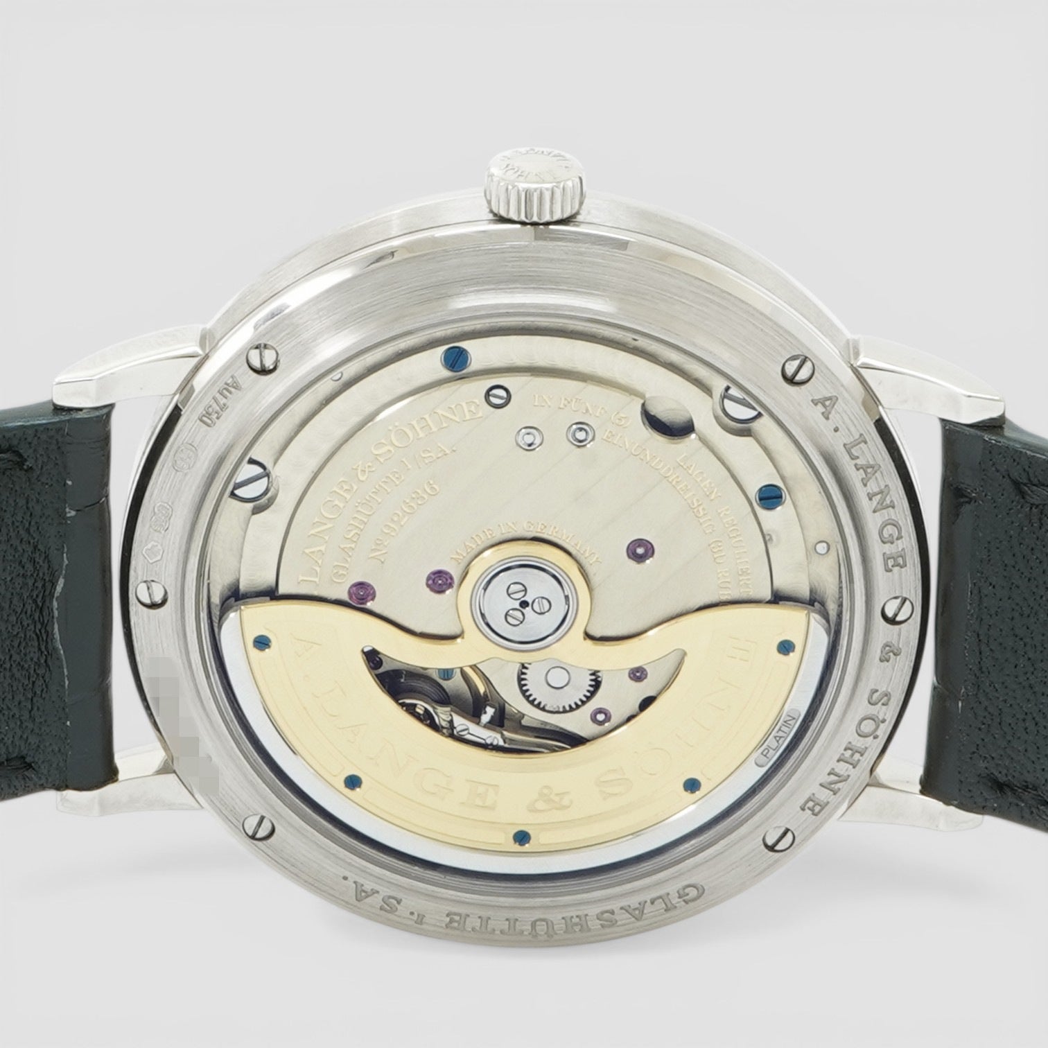 Saxonia