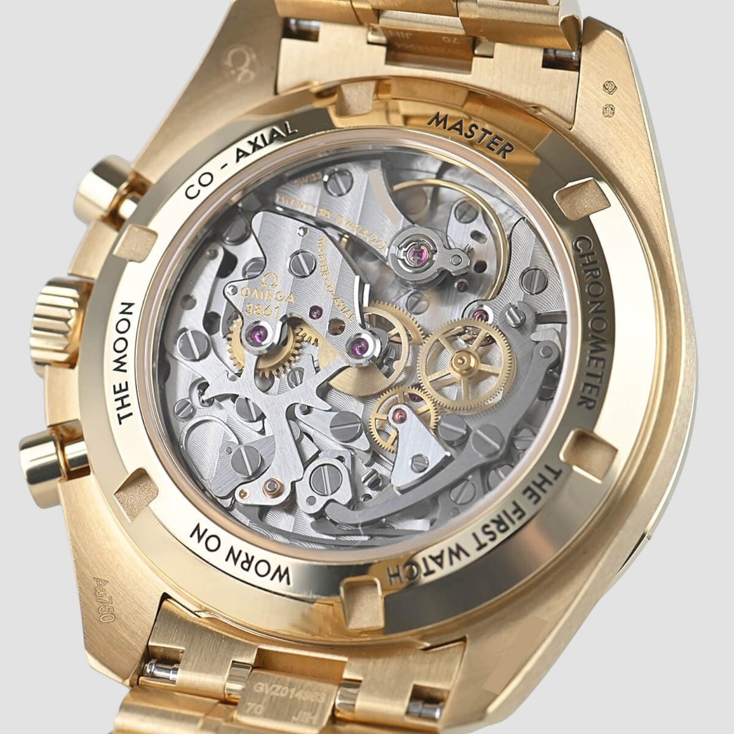 Speedmaster Moonwatch Professional